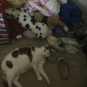 Meet your Posher, Robin